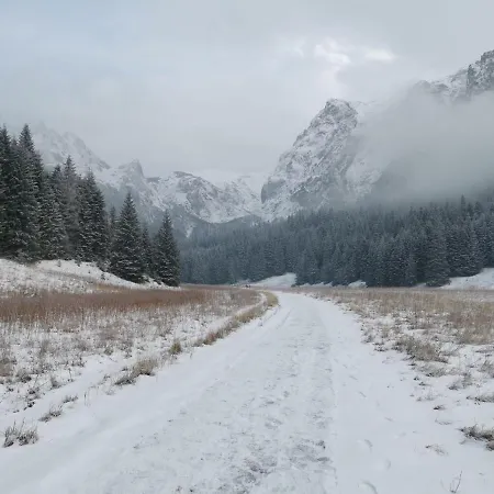 Kameralny Apartman *