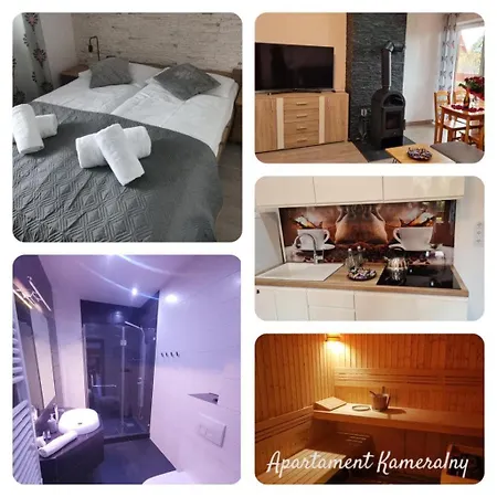 Apartament Kameralny Apartment